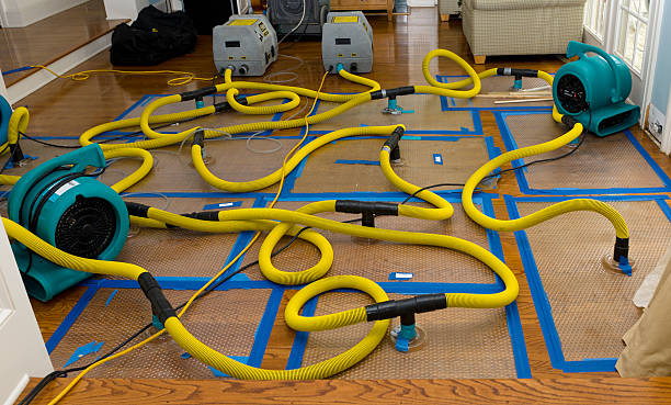 Professional Structural Drying And Dehumidification technician working in East Rutherford, NJ